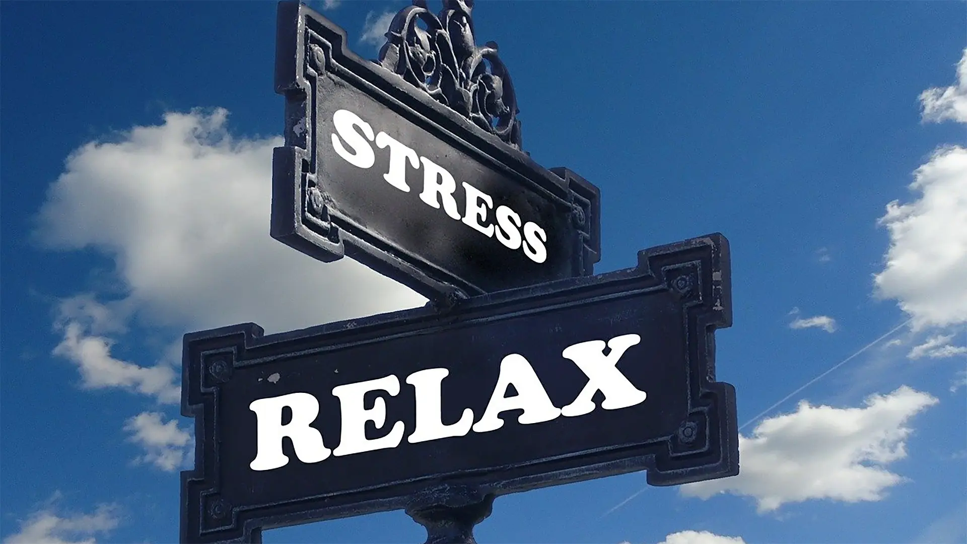 Traumatherapie & PTBS in Falkenberg – Praxis Eleonore Mitterer